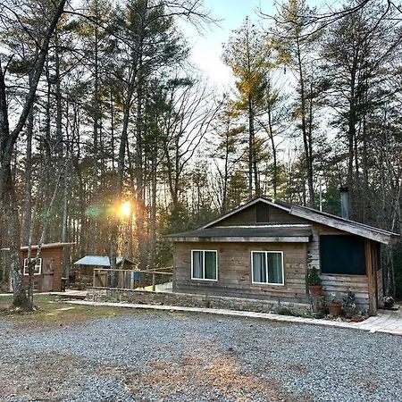 Beautiful & Peaceful Cabin W/ Deck Garden & Fire-Pit Murphy Ngoại thất bức ảnh