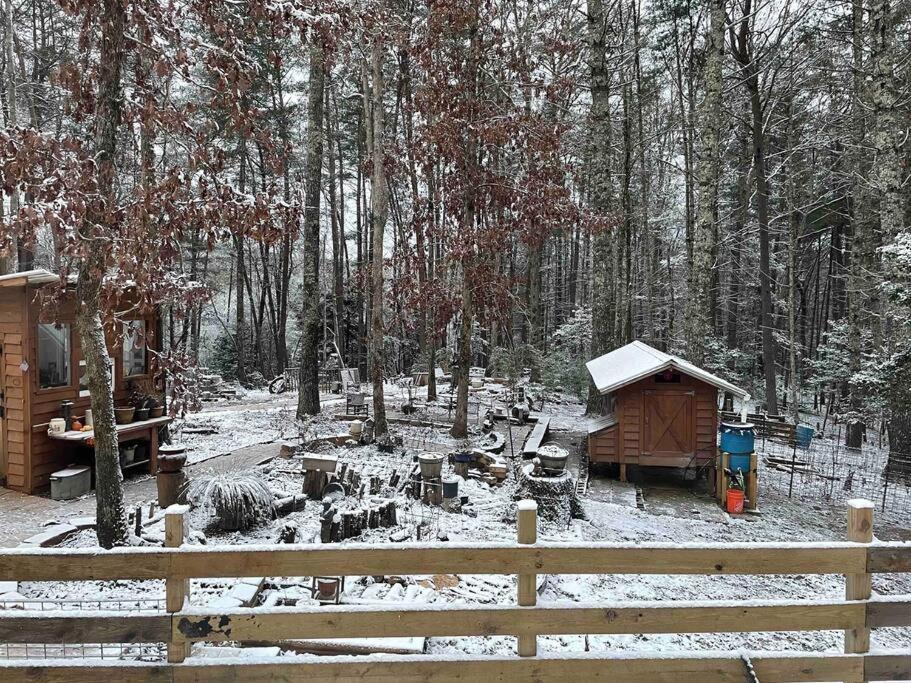 Beautiful & Peaceful Cabin W/ Deck Garden & Fire-Pit Murphy Ngoại thất bức ảnh