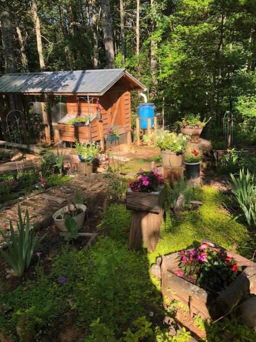 Beautiful & Peaceful Cabin W/ Deck Garden & Fire-Pit Murphy Ngoại thất bức ảnh