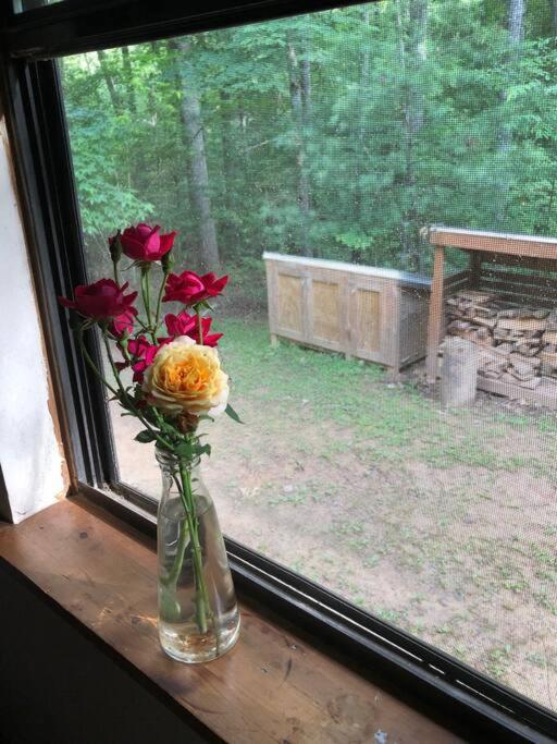 Beautiful & Peaceful Cabin W/ Deck Garden & Fire-Pit Murphy Ngoại thất bức ảnh